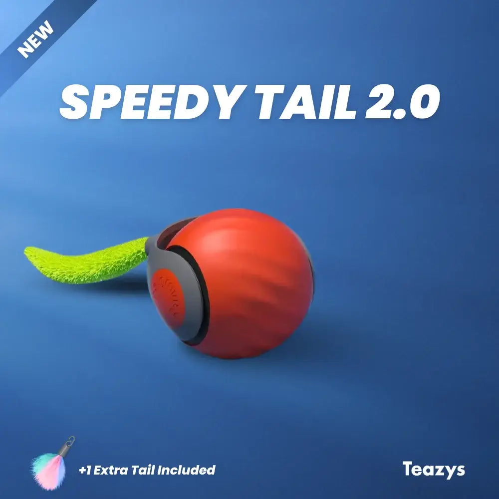 The SPEEDY TAIL 2.0 toy, with its red and black design and green tail, pops against a blue background. The "+1 Extra Tail Included" text enhances the "Teazys" brand's reputation for superior design and quality—a perfect fit for your SEO keywords strategy.