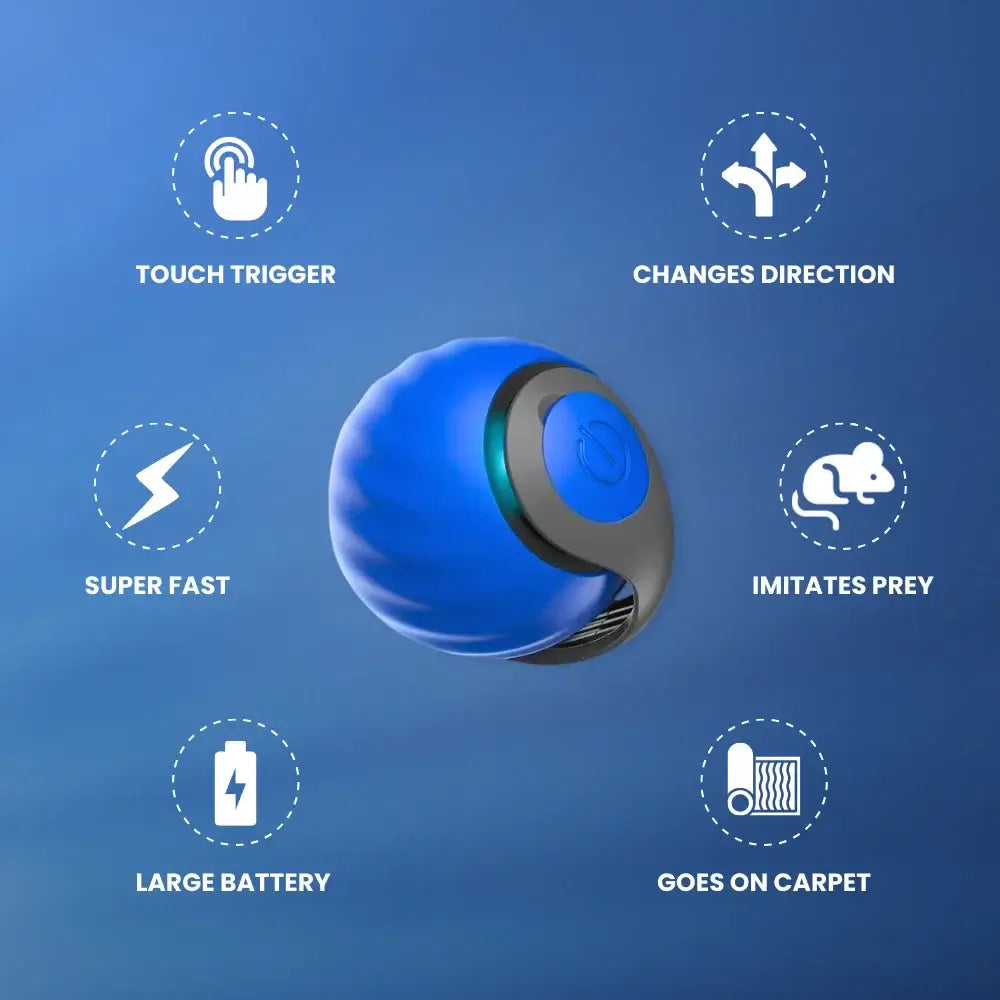 Discover the SPEEDY TAIL 2.0: a blue, spherical pet toy with feature icons. Activated by touch, it darts like prey, zooms swiftly on carpets, and has a long-lasting battery for endless fun.