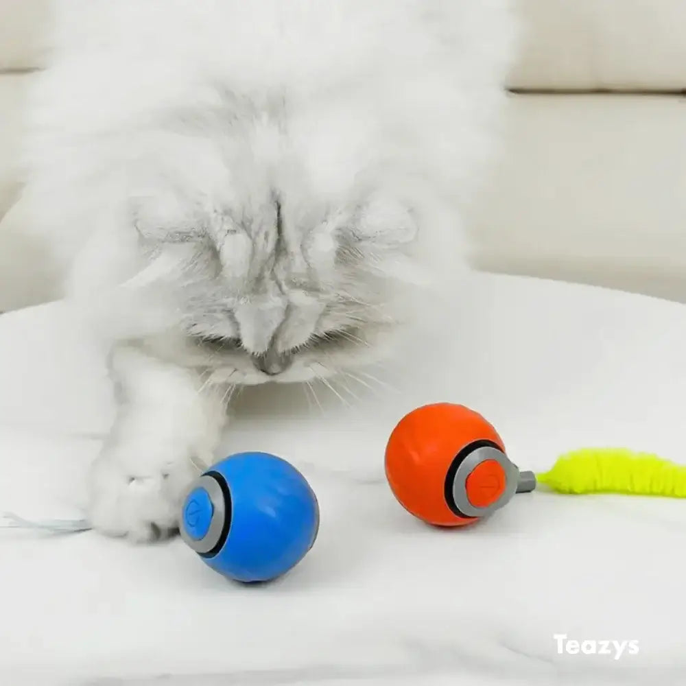 A fluffy white cat plays with a blue and an orange ball toy on a white surface, demonstrating the SPEEDY TAIL 2.0 in action.