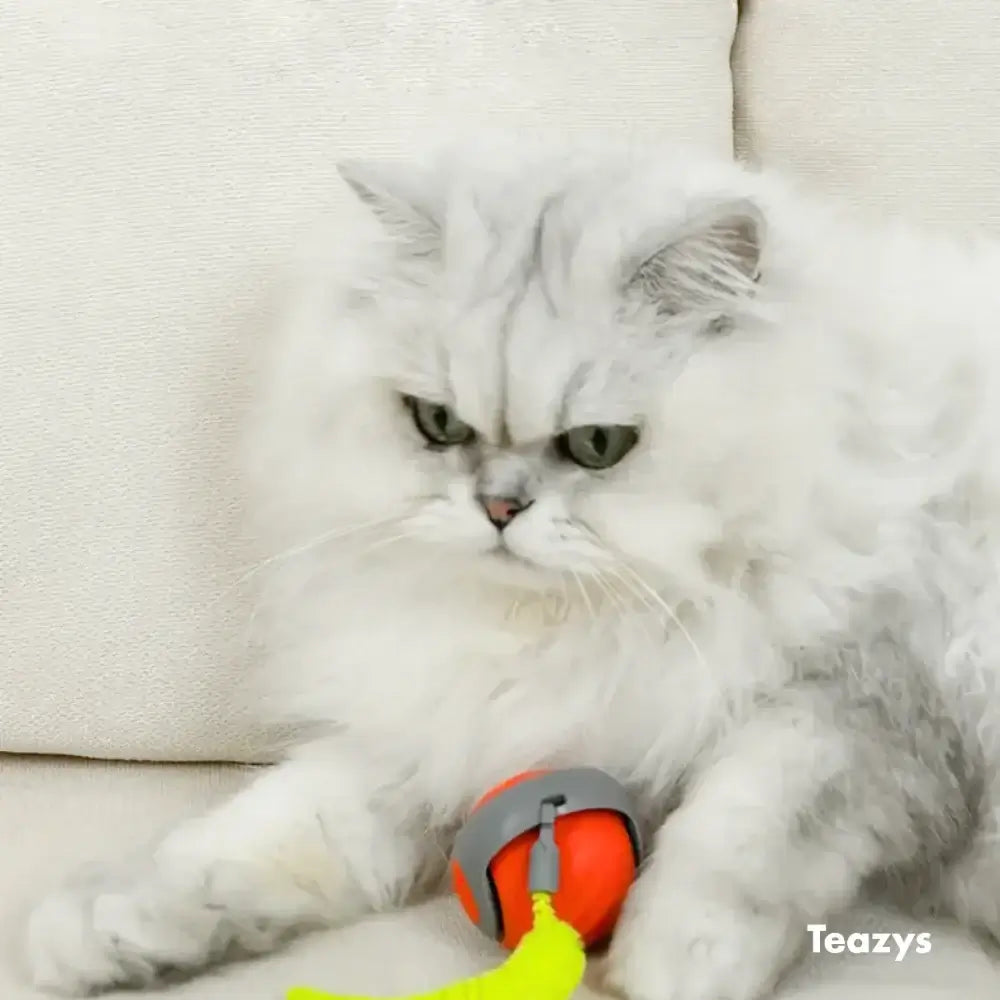 A fluffy white Persian cat sits gracefully on the couch, its curious eyes fixed on the small toy ball from the SPEEDY TAIL 2.0 collection.