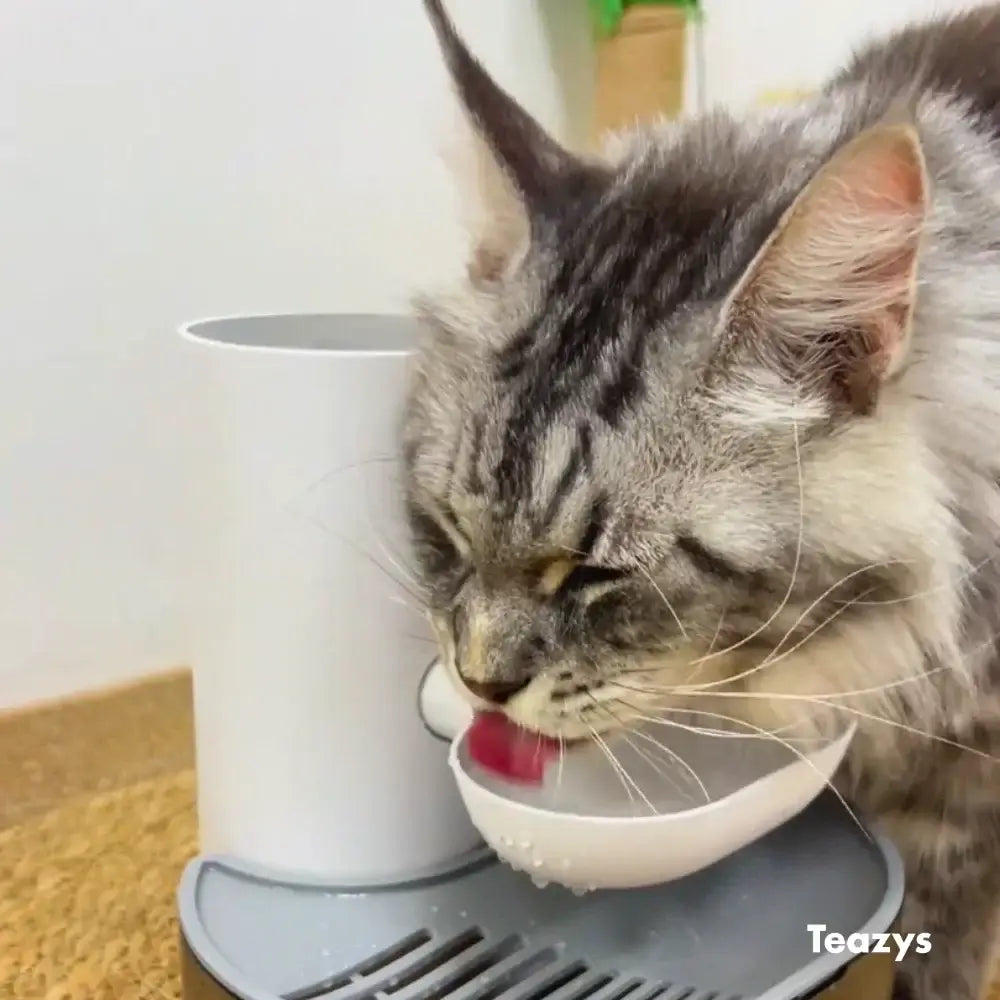 A gray cat drinks water from the AQUA BOT pet fountain on a counter.