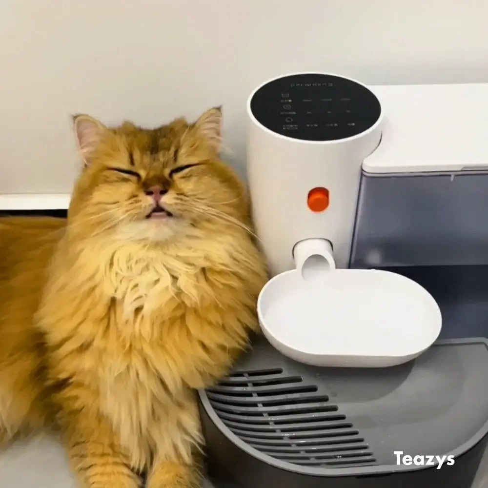 Orange cat resting against an AQUA BOT pet food dispenser with a detached lid.