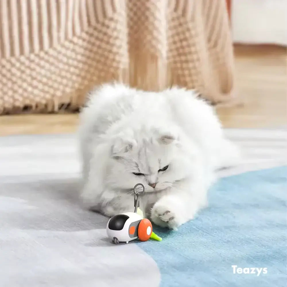 A fluffy white cat playfully interacts with the TURBO TAIL 2.0, tapping its paws on the small robotic toy as it moves across a carpeted floor.