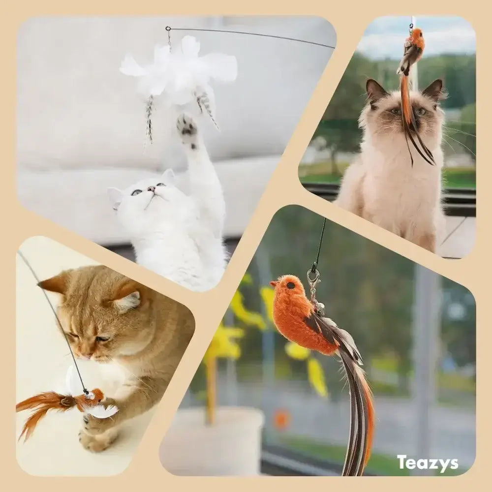 A collage of three cats from the HAPPY HUNTER KIT shows them playfully chasing feathered toys on strings, with a close-up of the cheerful orange bird toy.