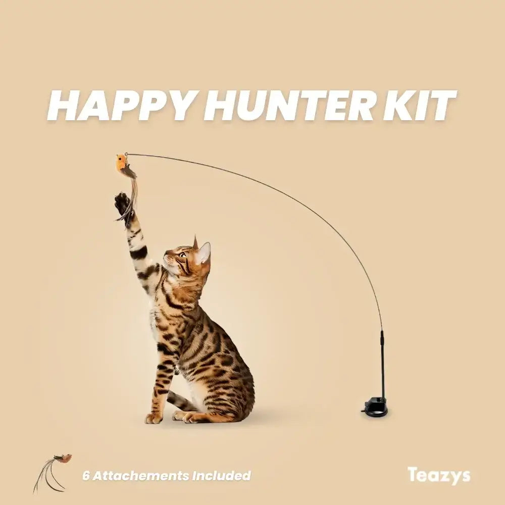 Cat batting at a toy attached to a flexible rod labeled "Happy Hunter Kit." Text indicates "6 Attachments Included.