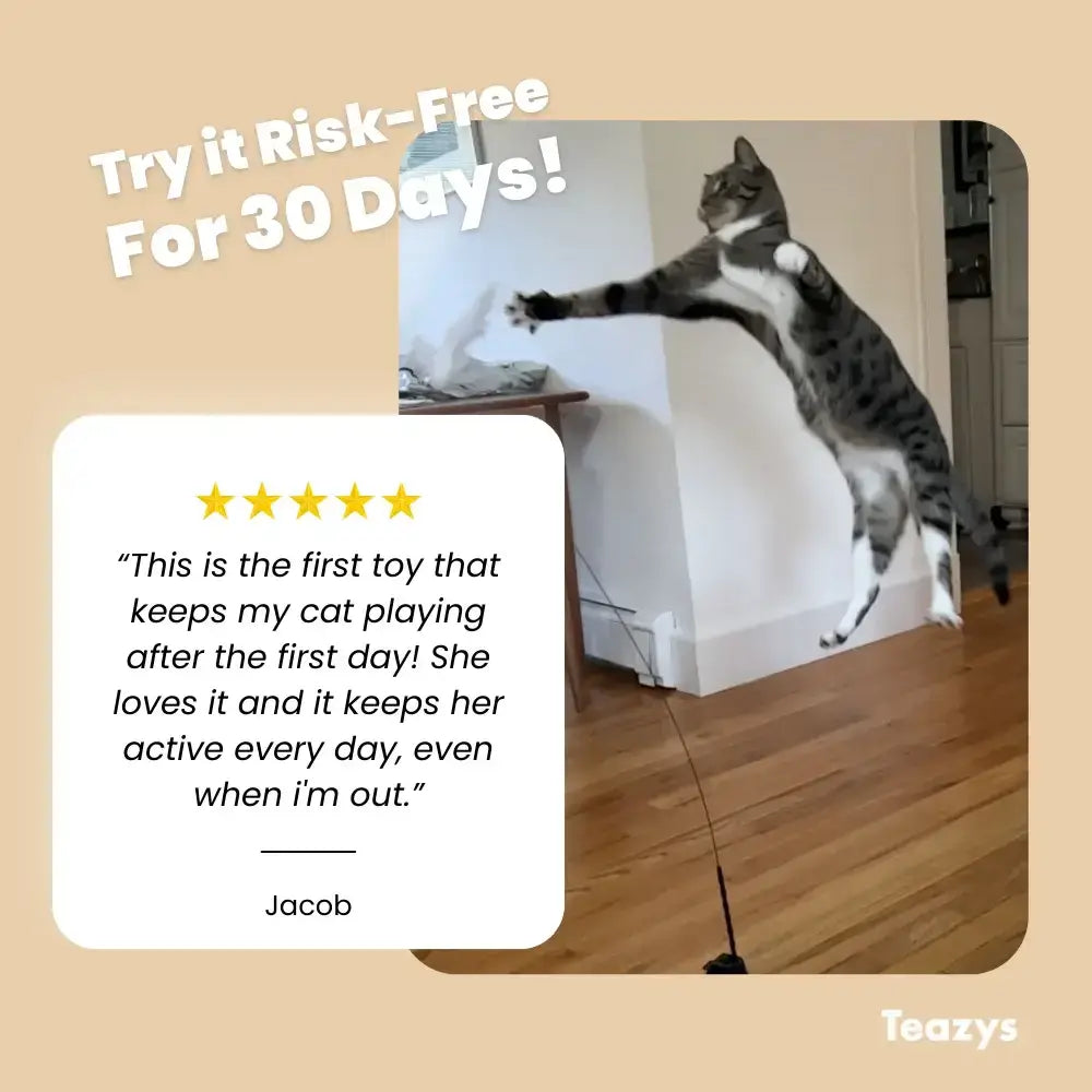 A cat joyfully leaps thanks to the HAPPY HUNTER KIT, with a customer raving about this exciting toy. Try it risk-free for 30 days and watch your feline turn into a happy hunter!.