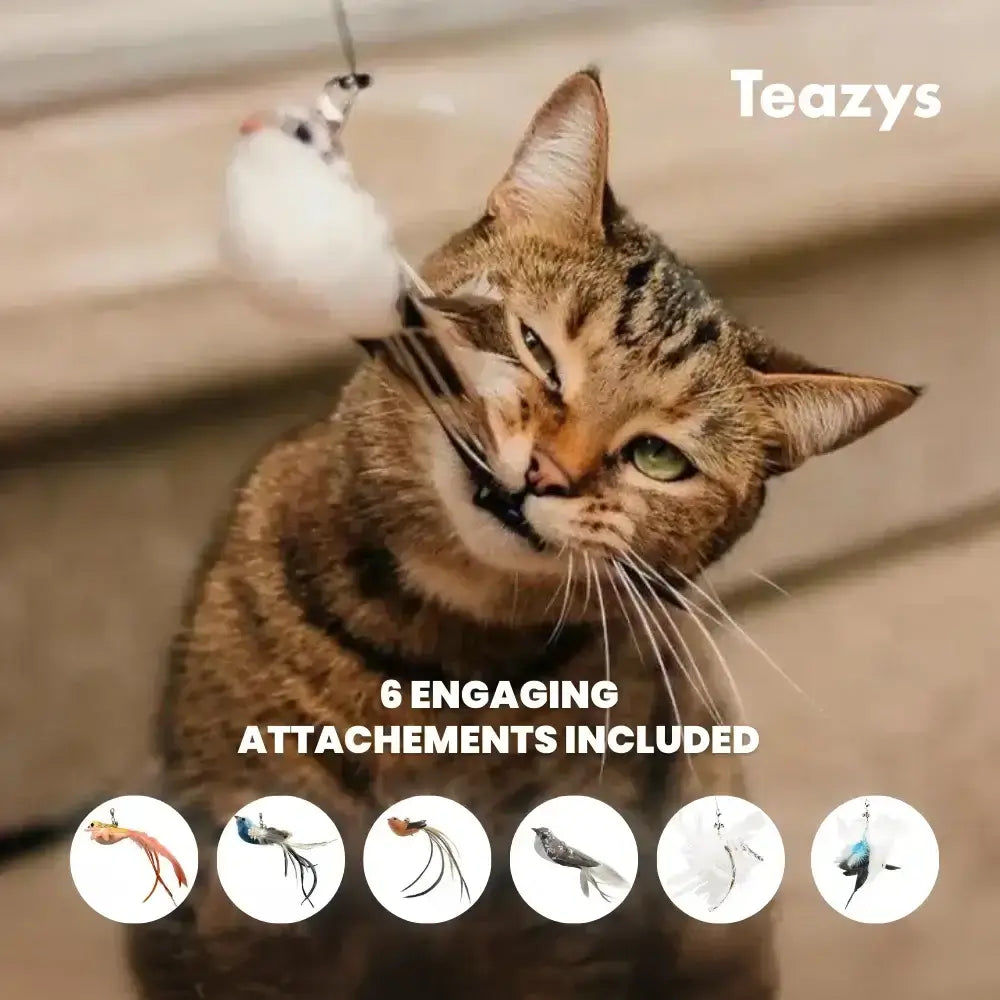 A tabby cat gleefully plays with a feather toy. Text reads: "Teazys HAPPY HUNTER KIT. 6 engaging attachments included," with images of the attachments at the bottom.