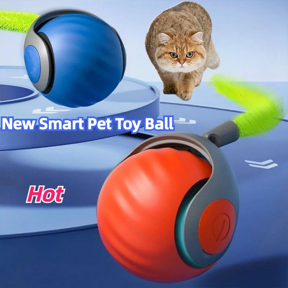 Cat observes two interactive rolling balls on a blue surface, one blue and one red, both with green feather attachments. Text reads "2024 New Interactive Cat Toy Ball." Ideal for curious felines' toy collections.