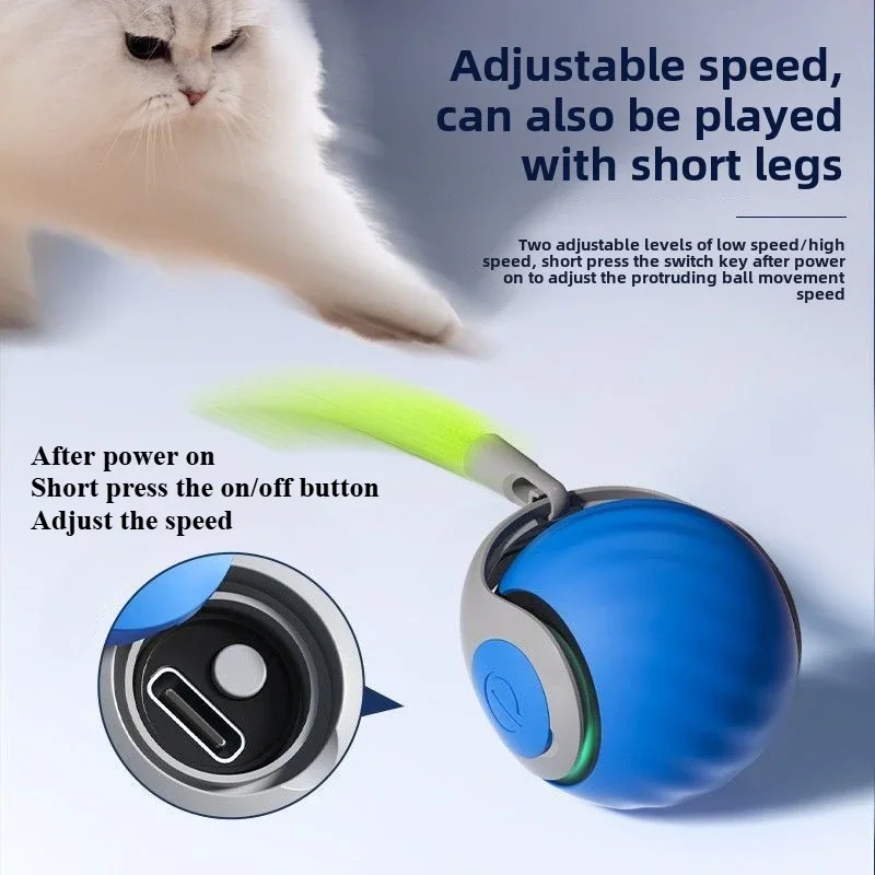 A cat observes the 2024 New Interactive Cat Toy Ball with a tail, designed for indoor and outdoor fun. Part of the Cat and Dog Play Toys collection, it offers adjustable speed settings with easy on/off controls, perfect for engaging pets.