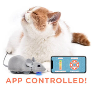 Mouse Hunt: App-Controlled Interactive Cat Toy